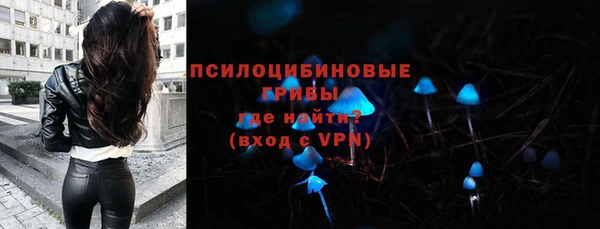 гидропоника Нея