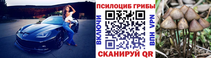 Галлюциногенные грибы Psilocybe  сайты даркнета телеграм  Ливны 