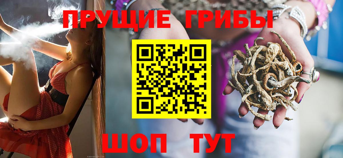 сколько стоит  Галлюциногенные грибы мицелий  Вход с VPN  Ливны  Псилоцибиновые грибы Psilocybe 